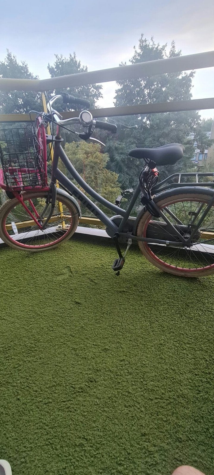 Meisjesfiets 24 inch - Spirit - 8 t/m 11 jaar, Ophalen