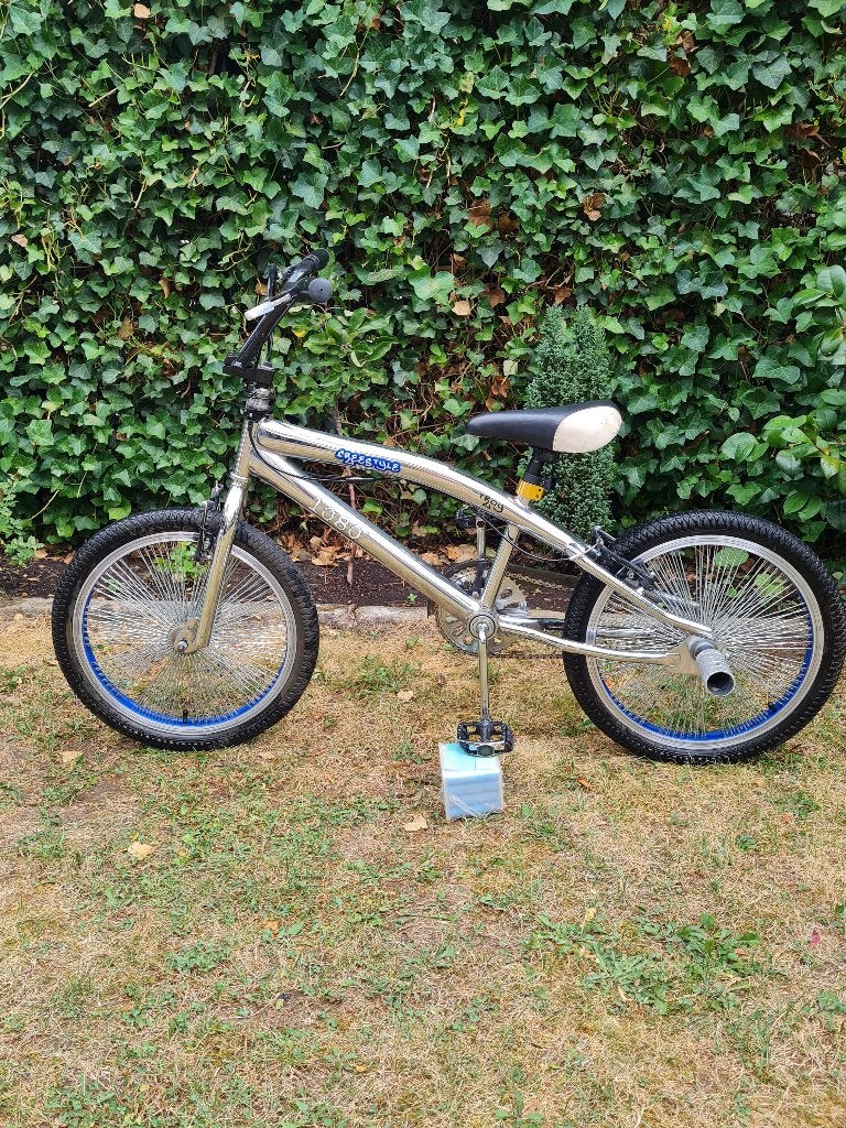 BMX Troy Freestyle 20 inch, Ophalen, Velgrem, Voetsteunen, Chroom