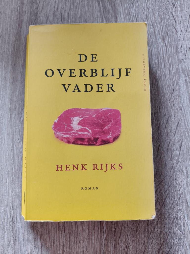 De Overblijfvader - Henk Rijks (Roman), Boeken, Ophalen of Verzenden, Gelezen, Henk Rijks, Nederland