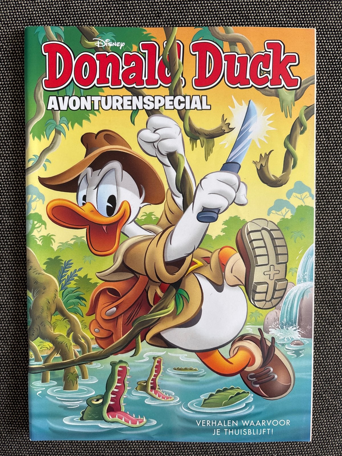 Donald Duck Avonturenspecial - Verhalen om thuis te blijven!, Eén stripboek, Verzenden, Nieuw