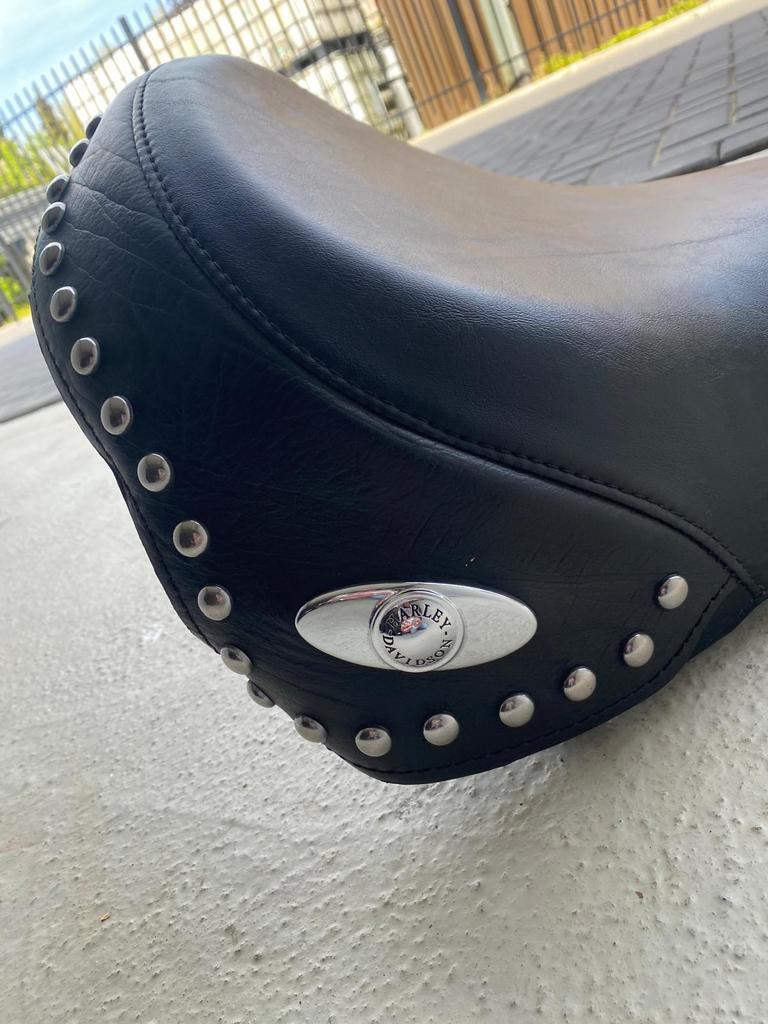 Diverse Harley davidson onderdelen softail springer 2004, Motoren, Ophalen