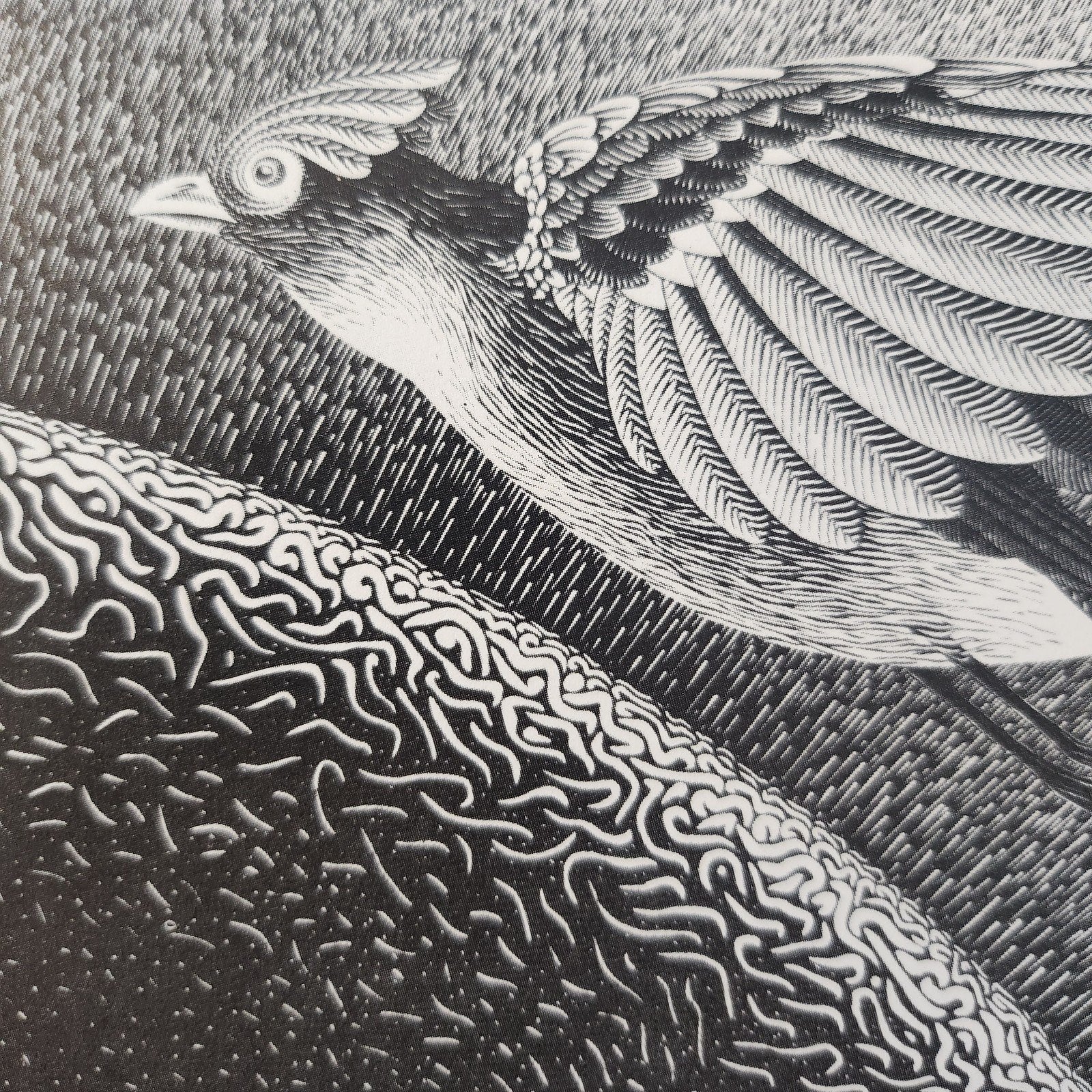 Kunstkaart M.C. Escher - Eerste Scheppingsdag, Verzenden, 1980 tot heden, Ongelopen, Cultuur en Media