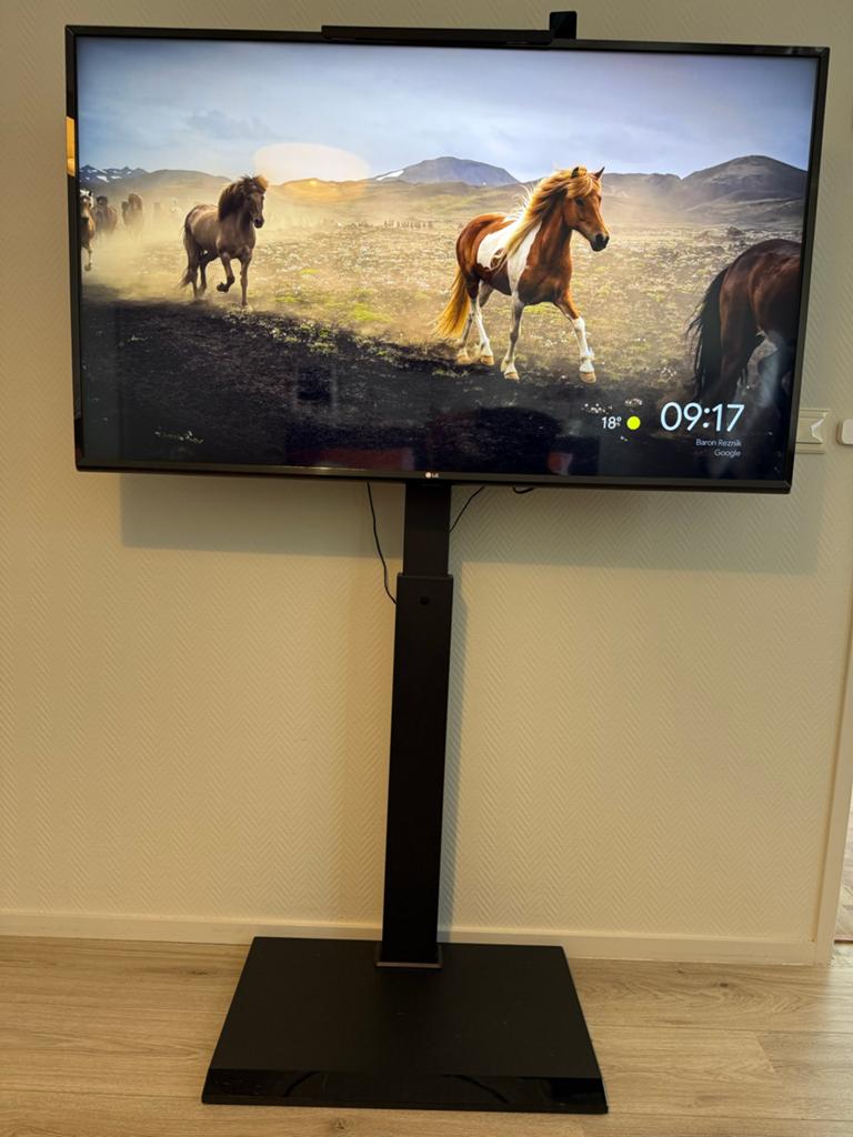 LG 49UK6400 49" Smart TV (2019 model) met standaard, Ophalen, Gebruikt, 100 cm of meer, 4k (UHD)