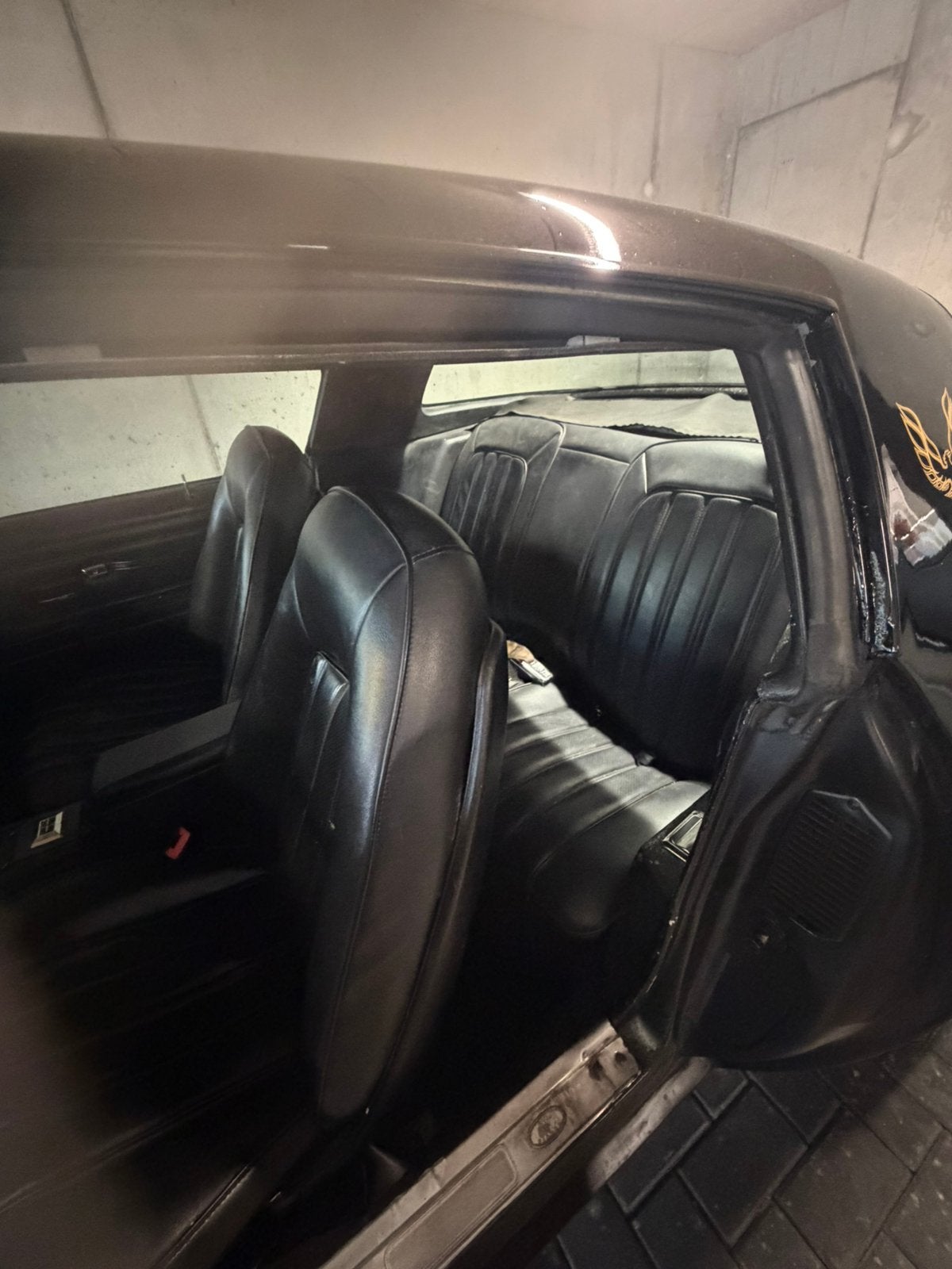 Pontiac Firebird 1976 5.7, foto 8