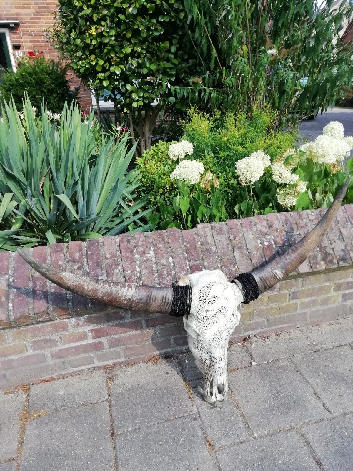 Handgesneden buffelschedel met drakenmotief, Ophalen of Verzenden