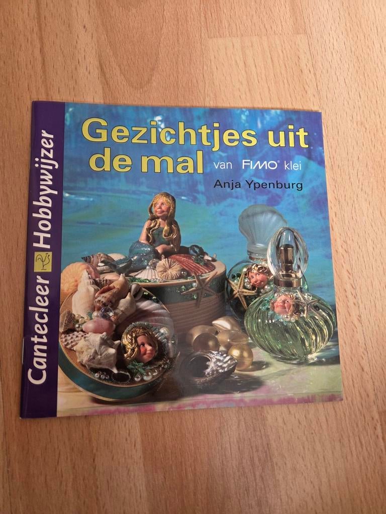 Boekje: Gezichtjes uit de mal voor Fimo klei (Hobbywijzer), Boeken, Ophalen of Verzenden, Nieuw, Kleien en Boetseren, Anja Ypenburg