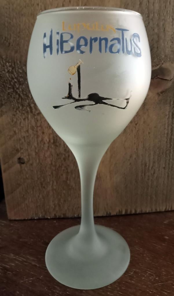 2 Bier glazen Lupulus Hibernatus, Ophalen of Verzenden, Zo goed als nieuw, Glas of Glazen, Overige merken