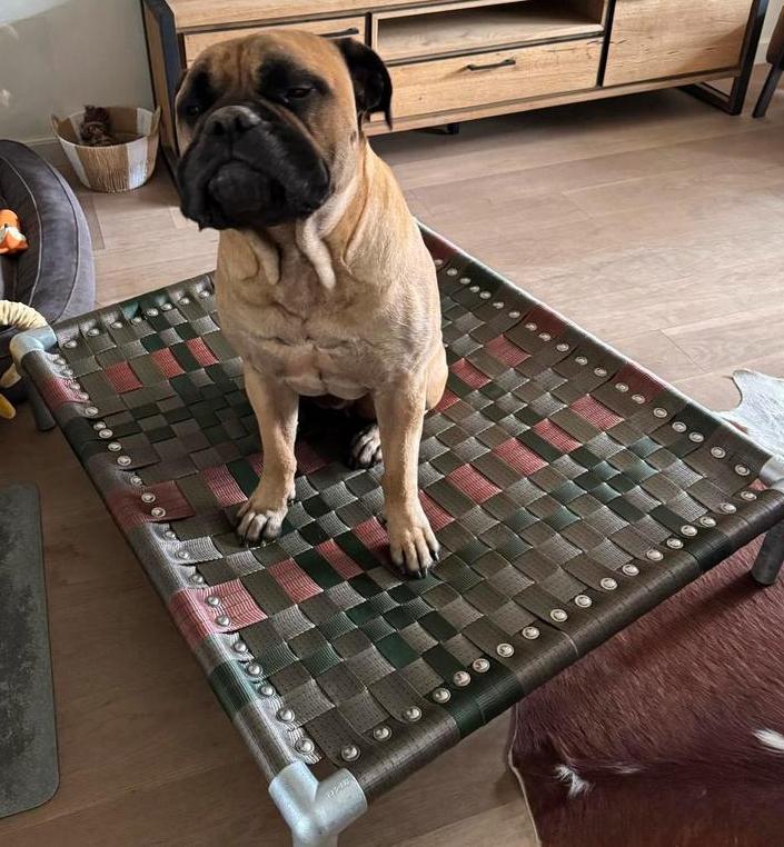 Hondenkussen ✅ hondenstretcher bench puppy dog bull, Dieren en Toebehoren, Hondenmanden, Zo goed als nieuw, Verzenden