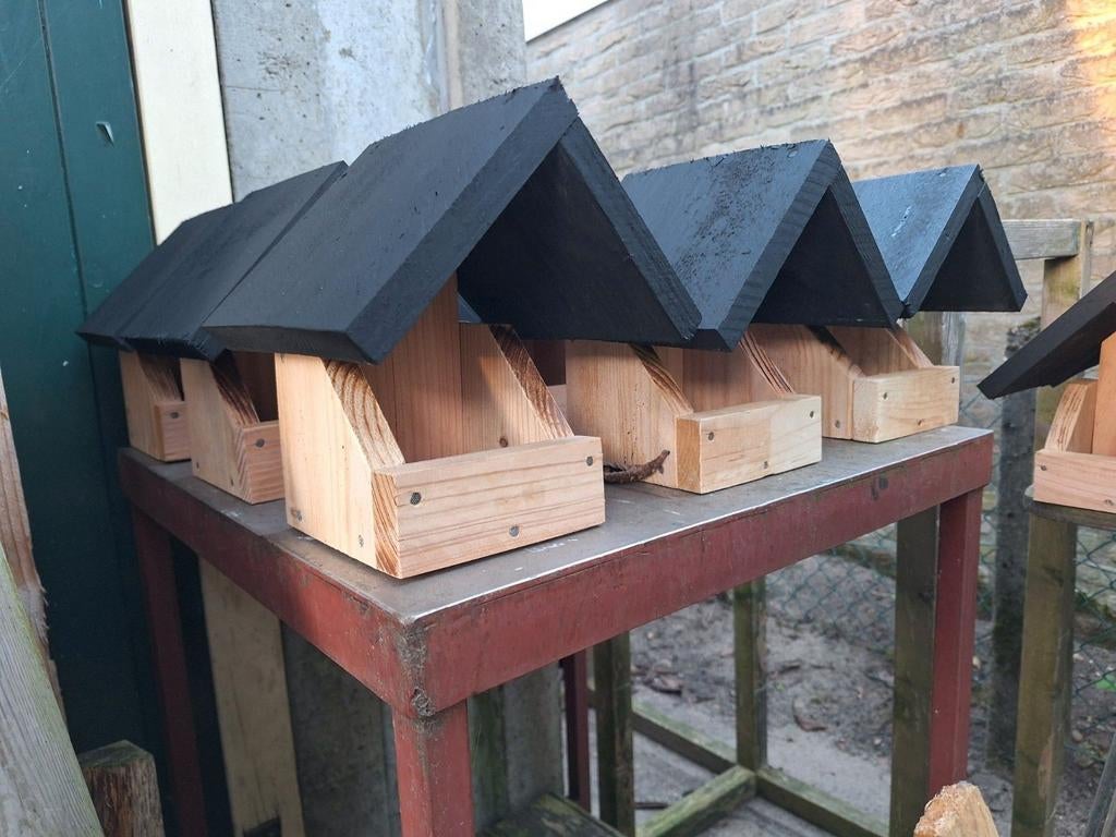🐦🪺 Grauwe vliegenvanger/Zwarte roodstaart/Witte kwikstaart, Ophalen of Verzenden, Nieuw