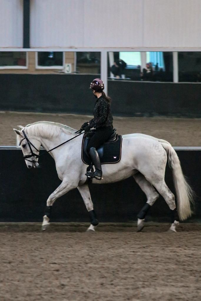 Trainer klassieke dressuur, Gedragstraining