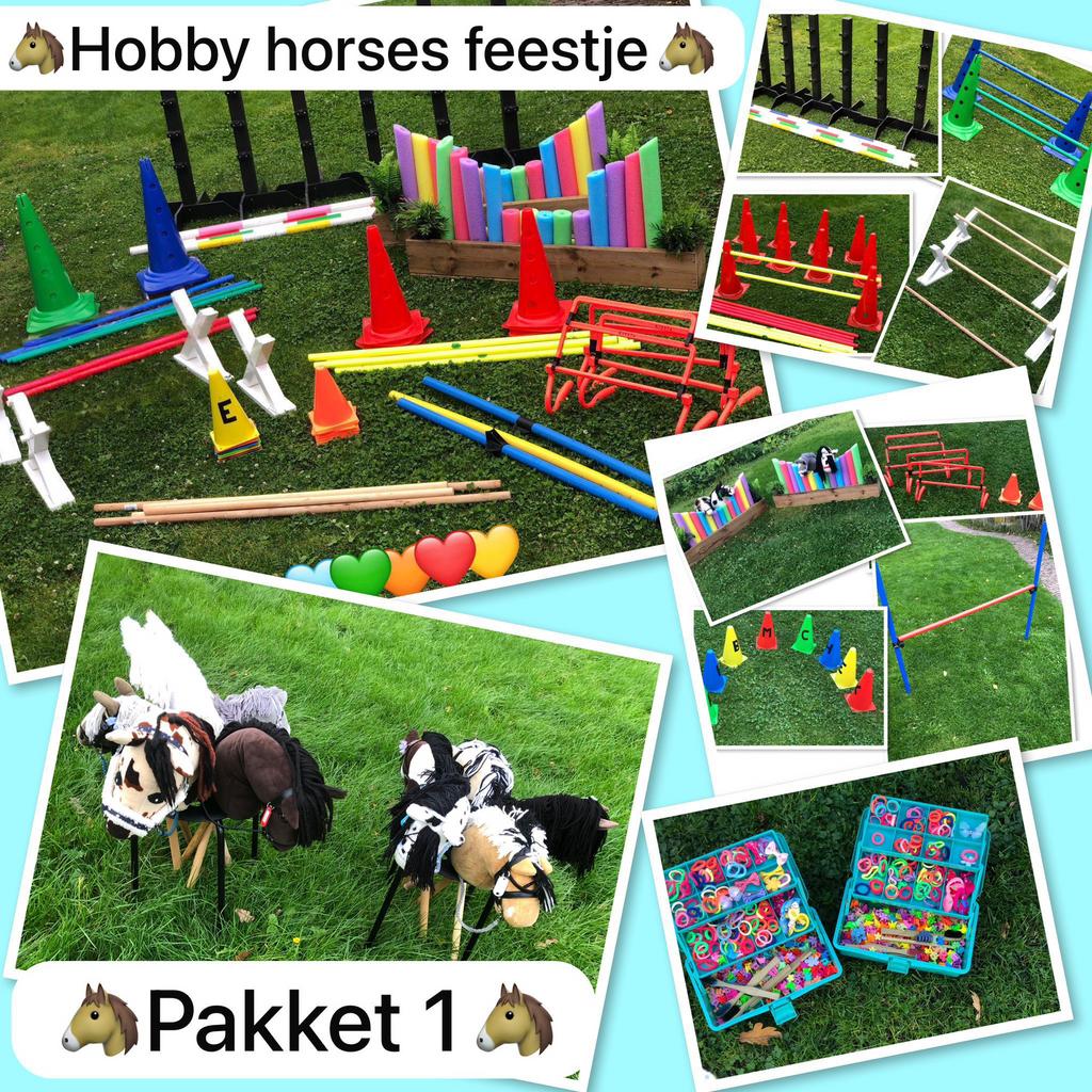 Hobby horses eenhoorn prinsessen feestje ringsteken, Hobby en Vrije tijd, Feestartikelen | Verhuur, Ophalen
