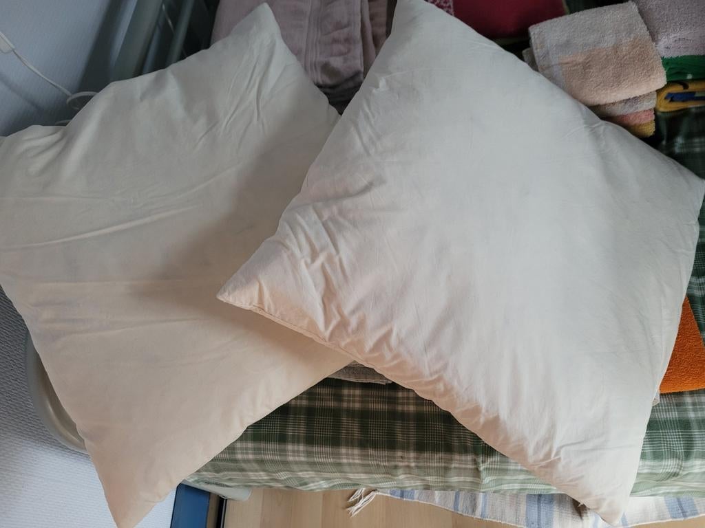 2 donzen kussens, Dieren en Toebehoren, Ophalen of Verzenden, Nieuw