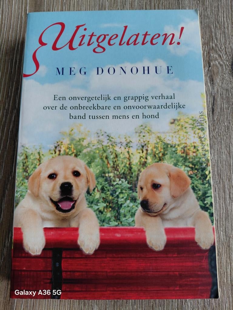 Meg Donahue, uitgelaten, Ophalen of Verzenden, Gelezen