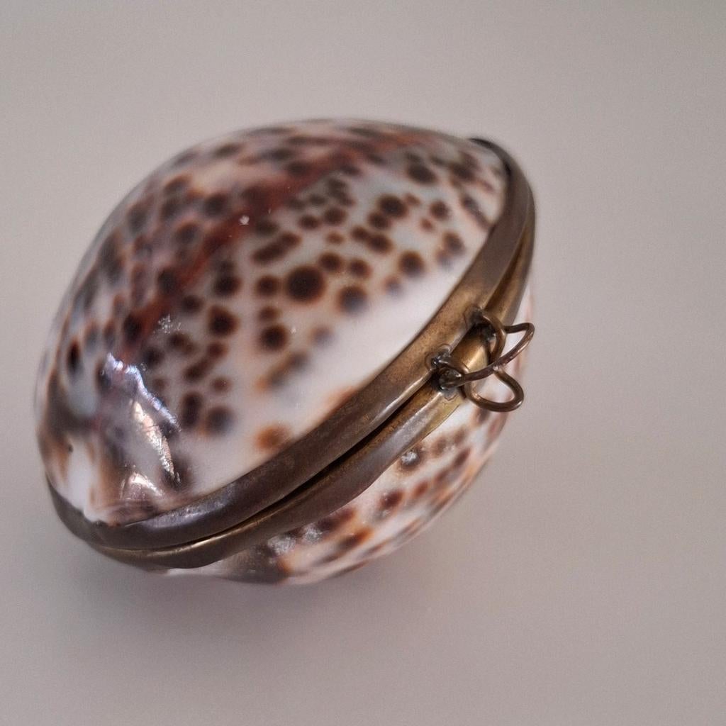 Vintage schelpendoosje, Ophalen of Verzenden, 17 tot 18, Zilver, Dame