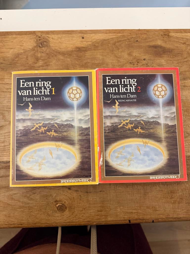 Een Ring van Licht - deel 1 en 2 Hans ten Dam, Ophalen of Verzenden, Spiritualiteit algemeen, Achtergrond en Informatie