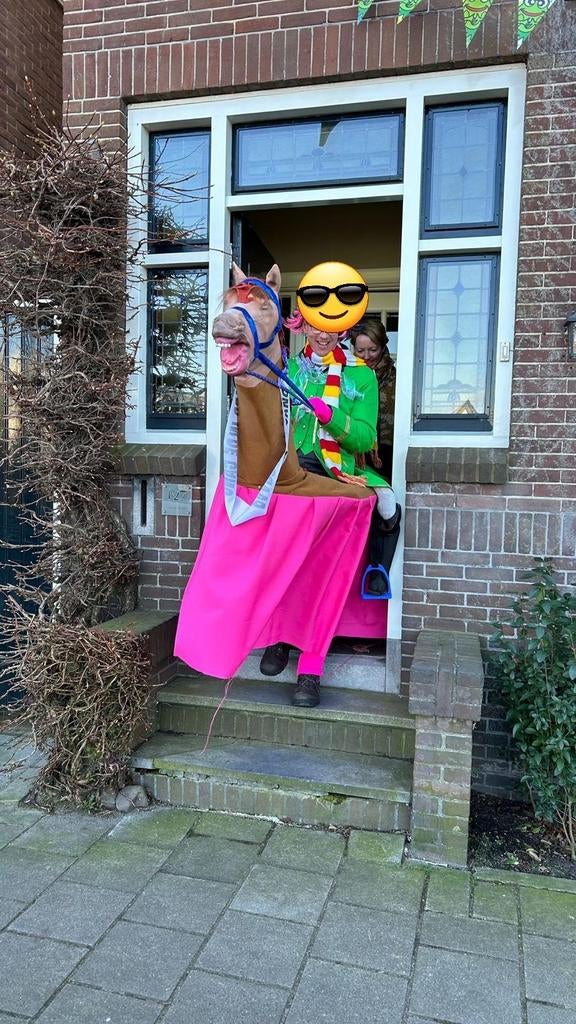 Carnaval loopgroep paarden carnavalspakken, Ophalen