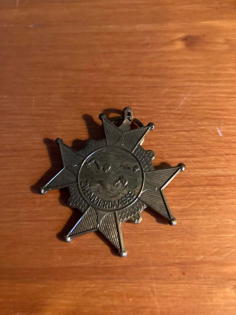 Medaille zwemvierdaagse, Ophalen of Verzenden, Zo goed als nieuw, Sport