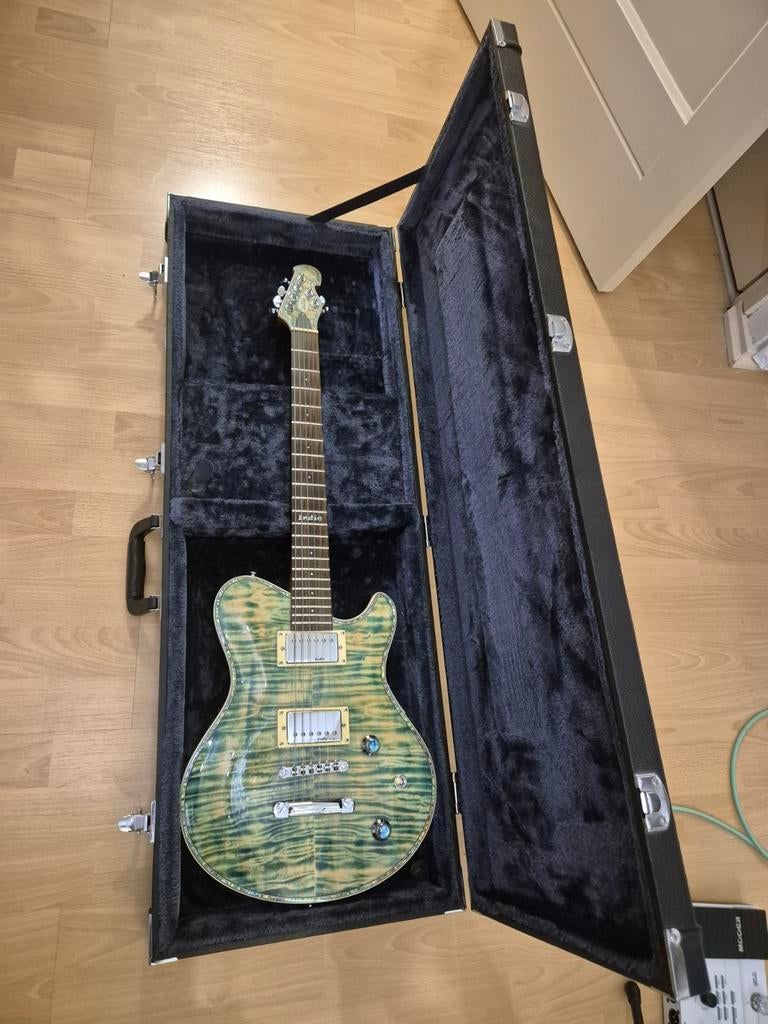 Unique Indie custom shop electric guitar, Muziek en Instrumenten, Snaarinstrumenten | Gitaren | Elektrisch, Ophalen, Overige merken
