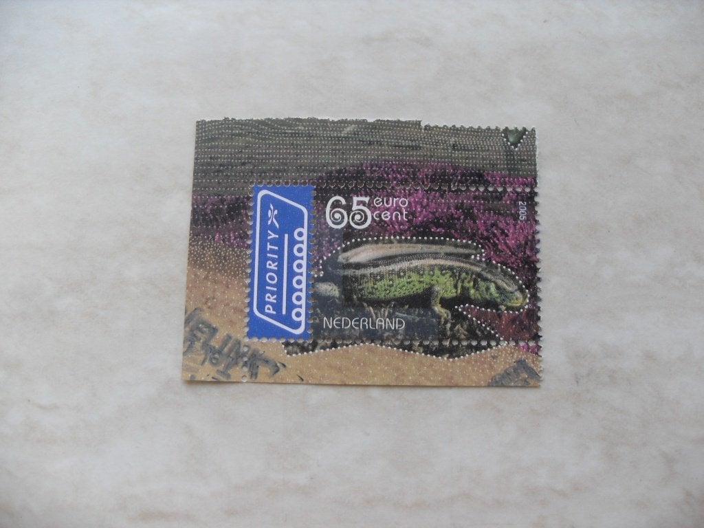 Nederland 2005., Verzenden, Gestempeld