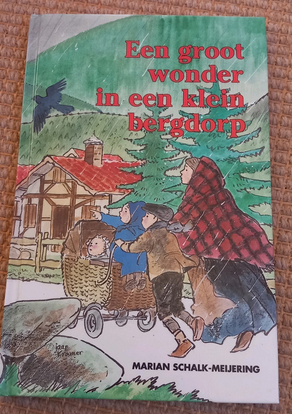 Een groot wonder in een klein bergdorp, Boeken, Ophalen of Verzenden