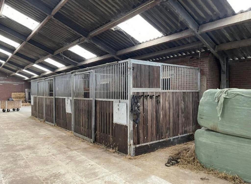 Stalwanden paardenboxen te koop