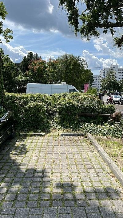 parkeerplaats met of zonder beugel Leeuwarden gezocht, 100 liter of meer, Ophalen, Gebruikt, Transportkar