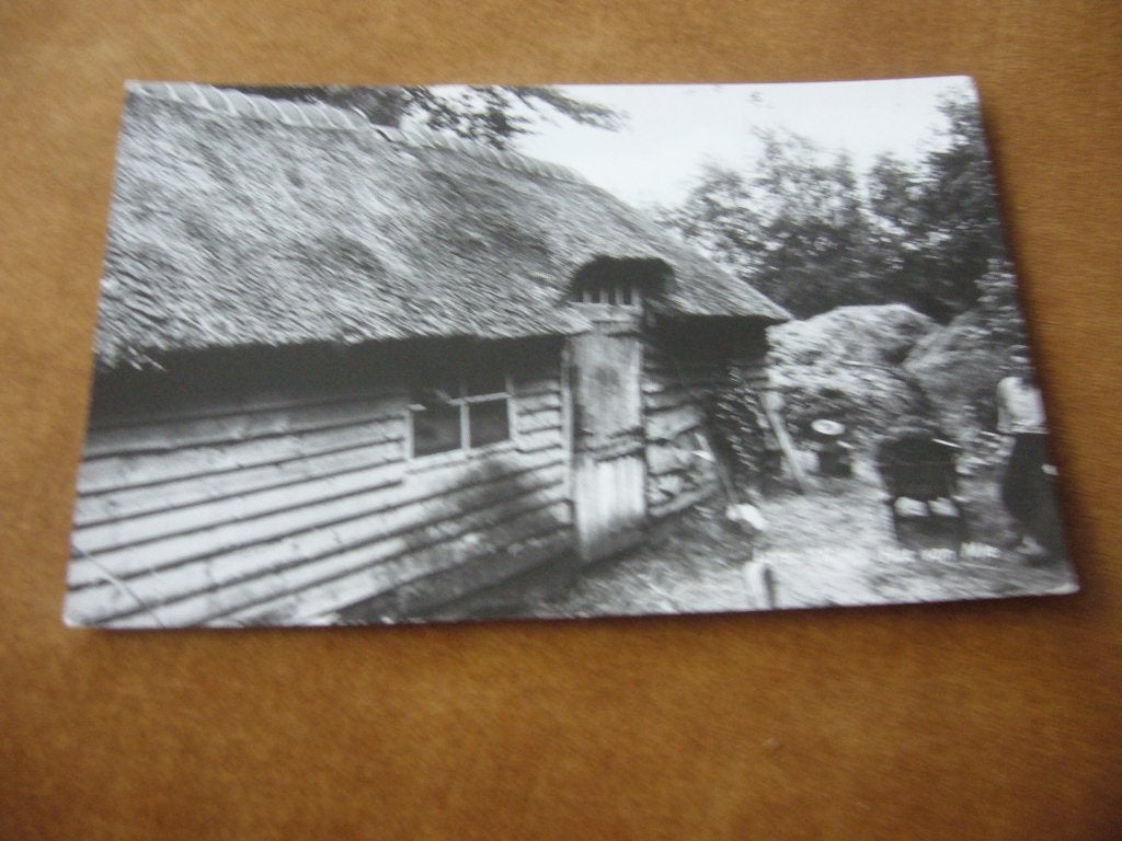 LAREN  N.H.  =  HUT VAN MIE, Verzenden, 1940 tot 1960, Gelopen, Noord-Holland