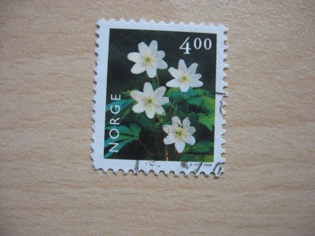 Noorwegen bloemen, Verzenden, Noorwegen, Gestempeld