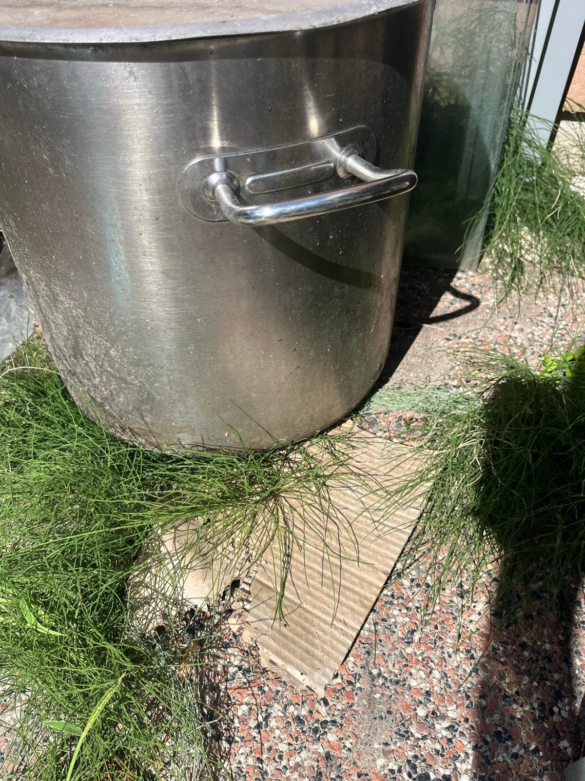 Grote RVS Kookpan met Deksel - Gebruikt, Gebruikt, Met deksel, Ophalen of Verzenden, Rvs