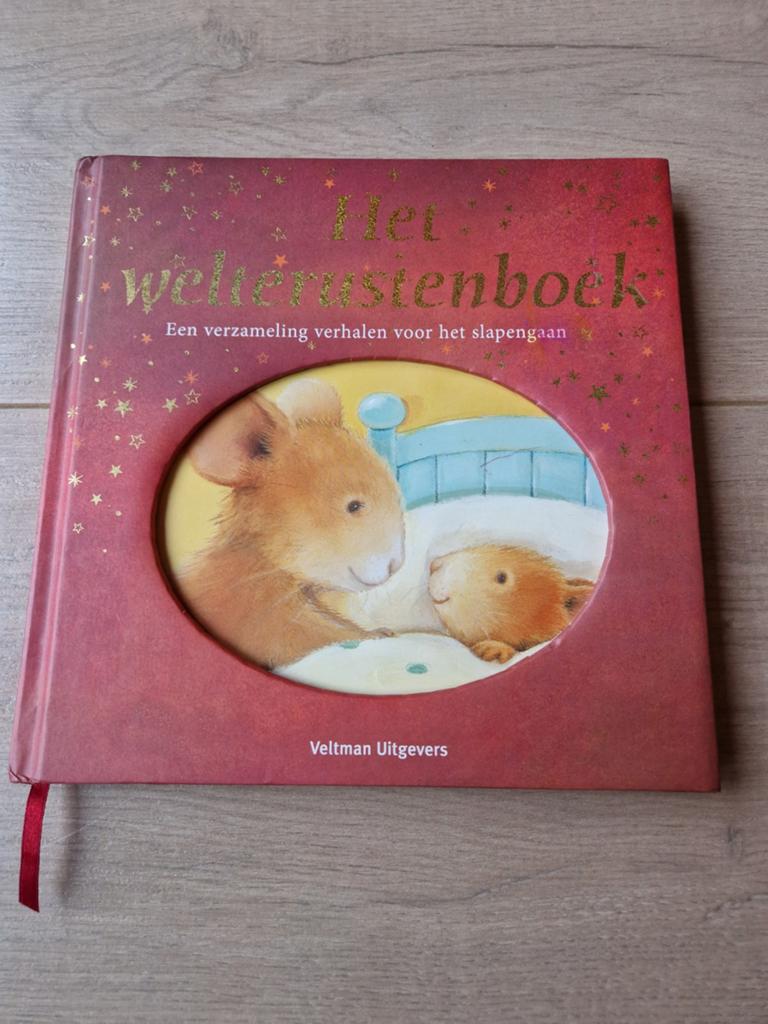 Het Welterustenboek - Verzameling verhalen voor het slapen, Jongen of Meisje, Diverse auteurs, Ophalen of Verzenden, Zo goed als nieuw