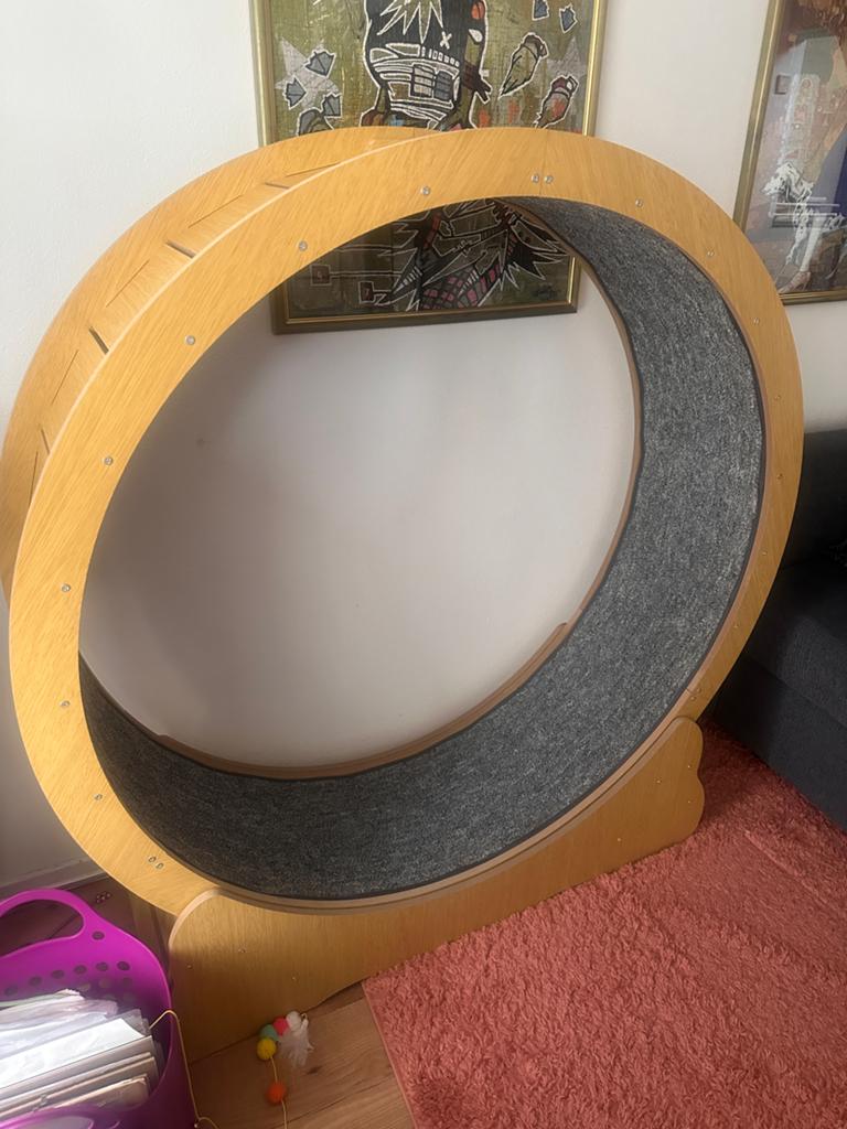 XXL Kattenloopwiel 120cm |  XXL Cat Wheel, Ophalen, Zo goed als nieuw, Overig speelgoed