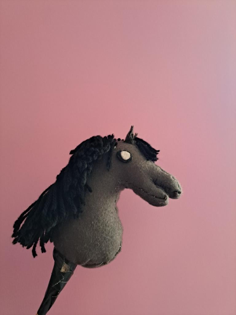 Kleine hobbyhorse/ stokpaard met hoofdstel, Ophalen of Verzenden, Gebruikt, Overige