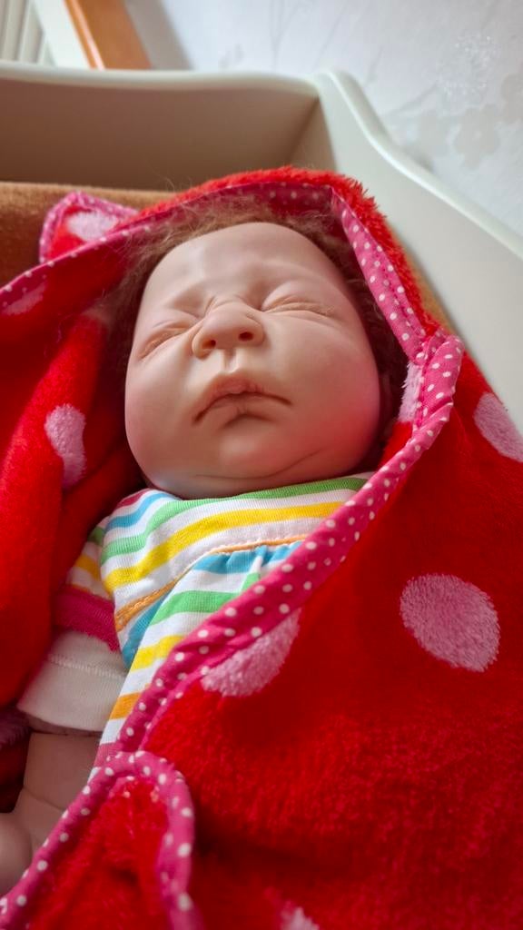 Reborn, Verzamelen, Ophalen, Zo goed als nieuw, Pop