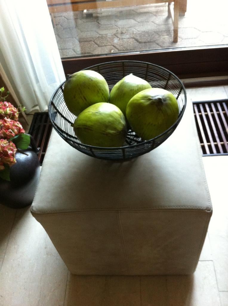 Grote ijzeren fruitschaal+4 design ballen schaal H19Br40cm, Overige materialen, Schaal, Rond, Ophalen of Verzenden