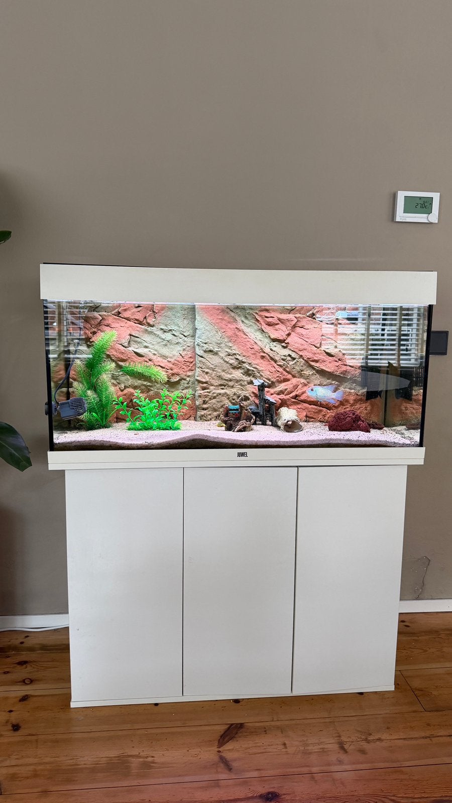 JUWEL aquarium 180L + kast + vissen + materialen, Ophalen, Zo goed als nieuw, Gevuld zoetwateraquarium