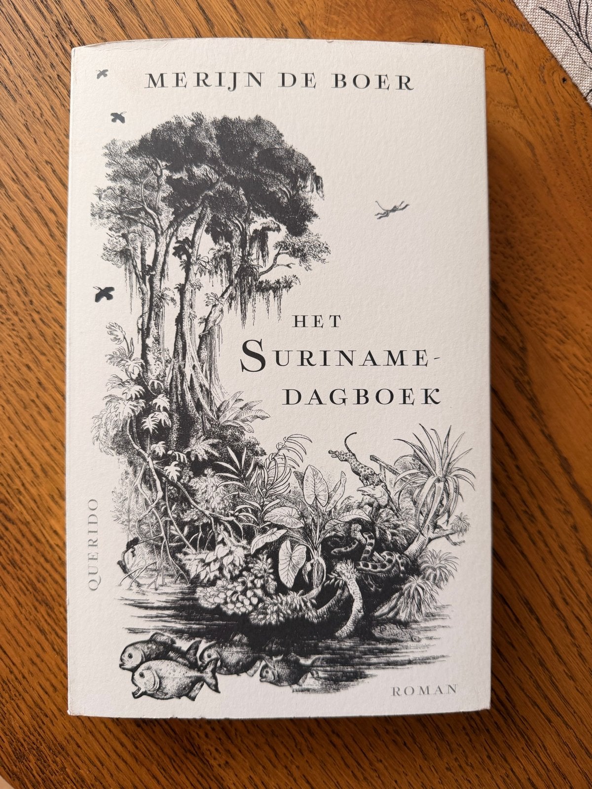 Het Suriname-dagboek - Merijn de Boer (Roman), Ophalen of Verzenden, Zo goed als nieuw, Nederland