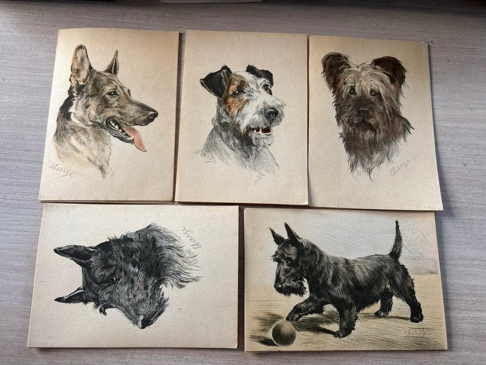 Set van 5 vintage hondenkaarten - Achterkant blanco, Ophalen of Verzenden, Voor 1920, Ongelopen, Natuur
