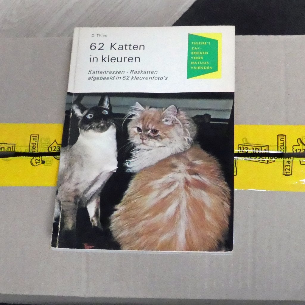 62 katten in kleur, isbn: 9003949204, Boeken, Dieren en Huisdieren, Ophalen of Verzenden, Gelezen, Katten, D.Thies