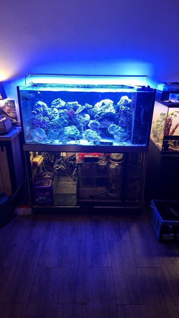 Zeeaquarium verlichting, Dieren en Toebehoren, Vissen | Aquariumvissen, Overige typen