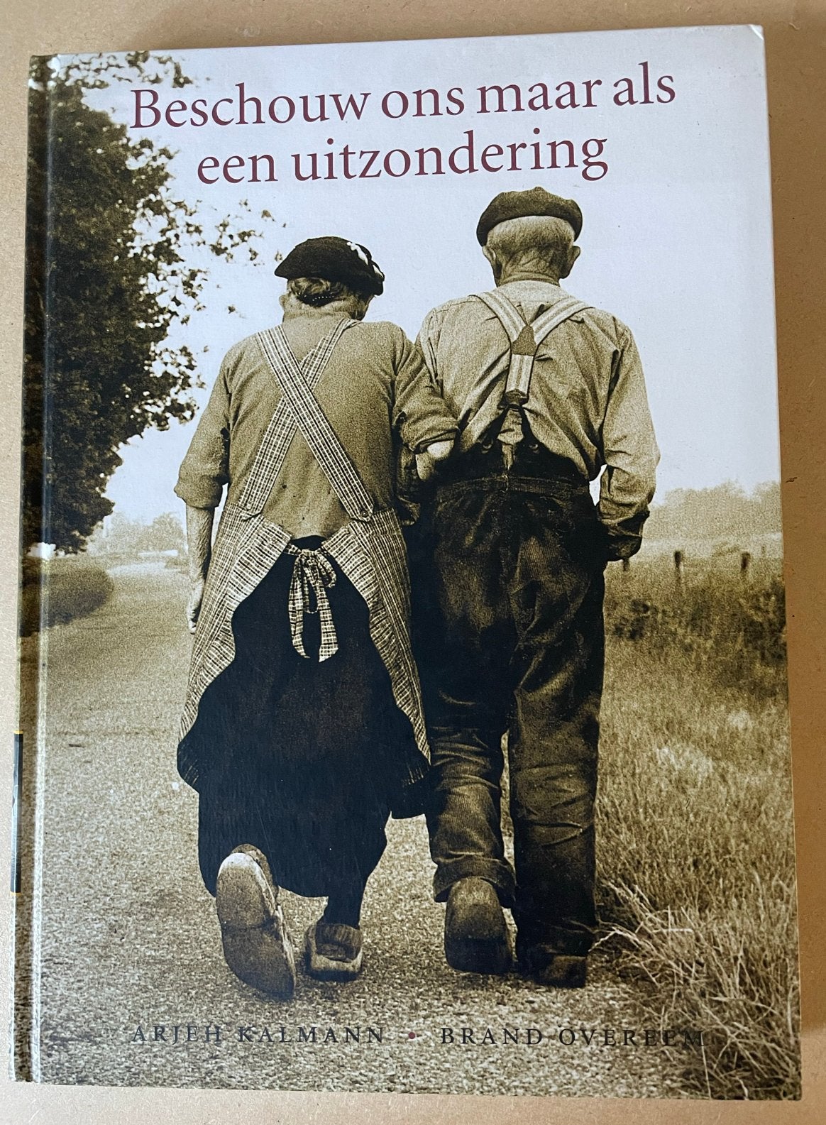Beschouw ons maar als een uitzondering - Arjeh Kalmann, Ophalen of Verzenden, 20e eeuw of later, Gelezen