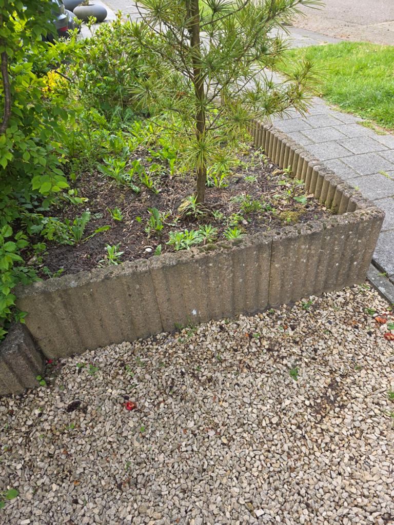 Betonnen tuintegels voor border of pad, Tuin en Terras, Overige materialen, Gebruikt, Overige typen, Ophalen of Verzenden