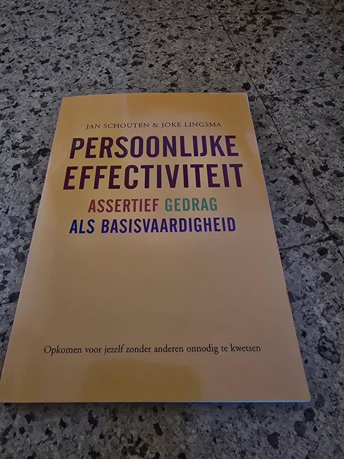 Joke Lingsma - Persoonlijke effectiviteit, Ophalen of Verzenden, Joke Lingsma; Jan Schouten, Ontwikkelingspsychologie, Zo goed als nieuw