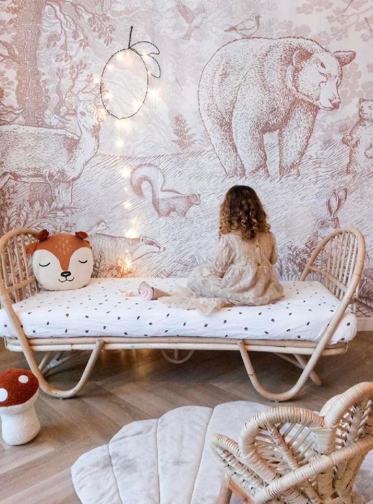 Peuterbed/juniorbed rotan, Kinderen en Baby's, Kinderkamer | Bedden, Ophalen