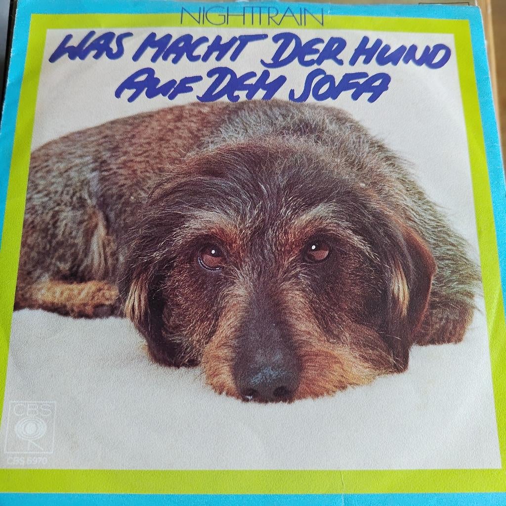 Nighttrain - Was Macht Der Hund Auf Dem Sofa (Single), Cd's en Dvd's, Vinyl Singles, 7 inch, Ophalen of Verzenden