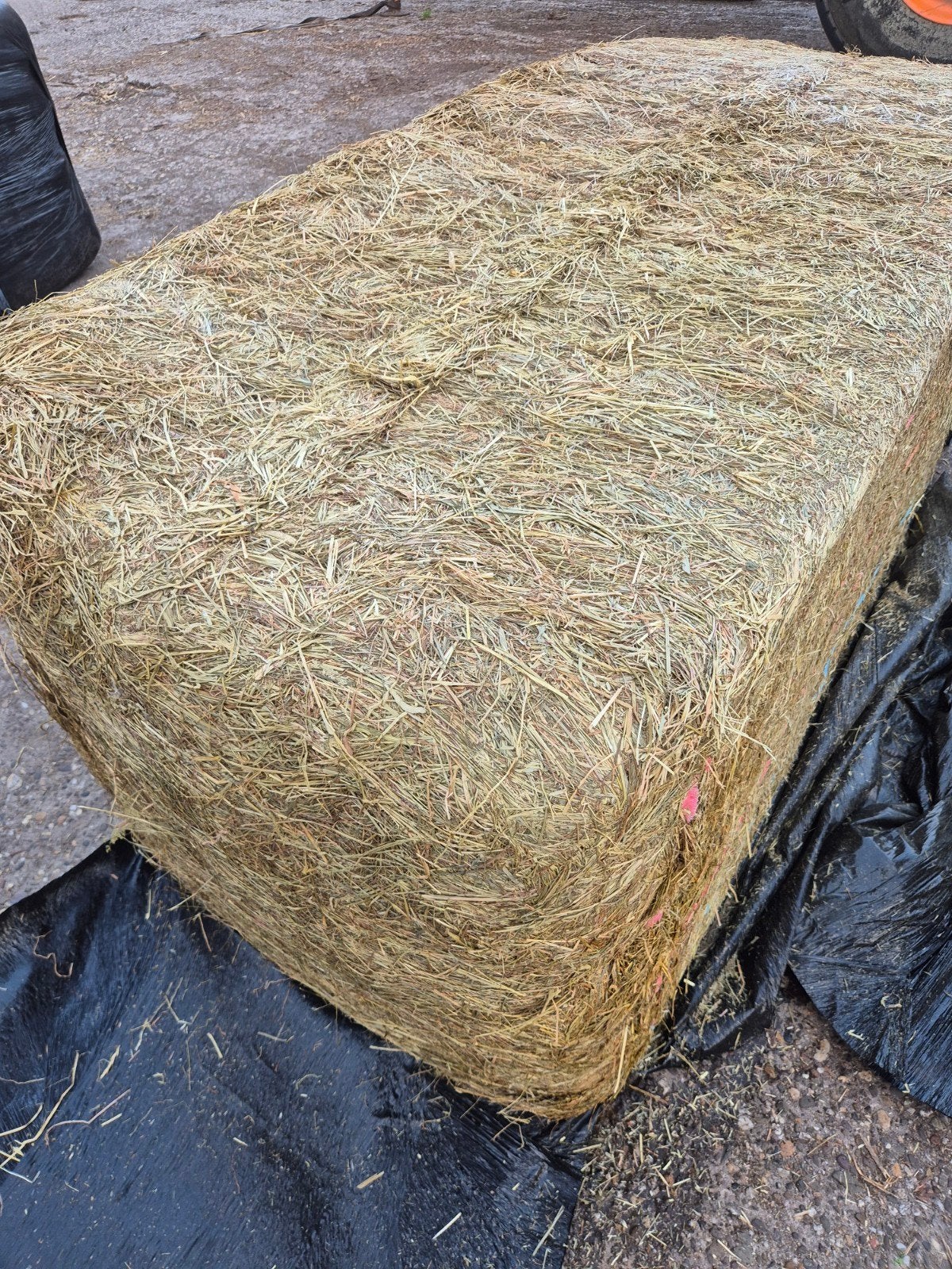 Super mooi paarden/schapen hooi, Zakelijke goederen, Ophalen of Verzenden