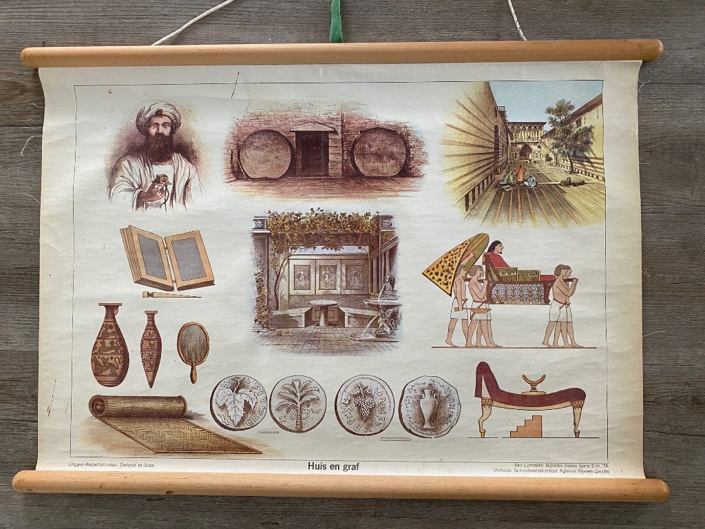 Wandplaten Van Lummel, Ophalen of Verzenden, Natuur en Biologie