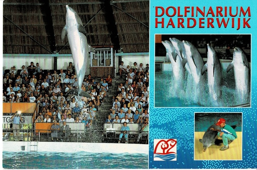 Harderwijk, Dolfinarium, Ophalen of Verzenden, 1960 tot 1980, Gelopen, Gelderland