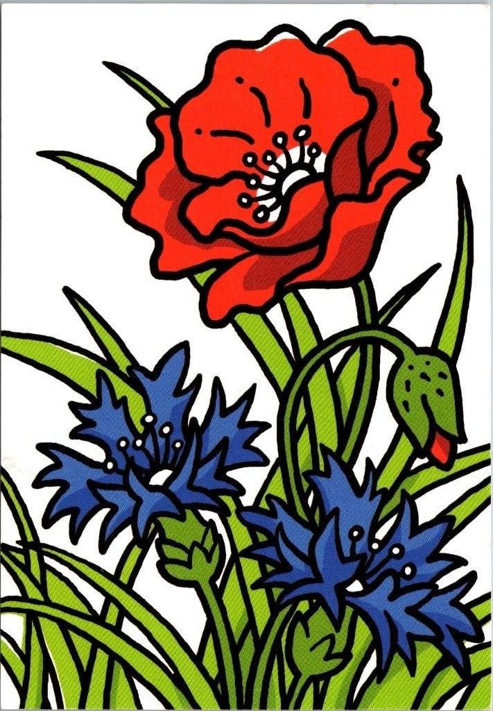 Ansichtkaart Klaproos en Korenbloemen - Netwerk VSP 2004, Ophalen of Verzenden, 1980 tot heden, Ongelopen, Natuur