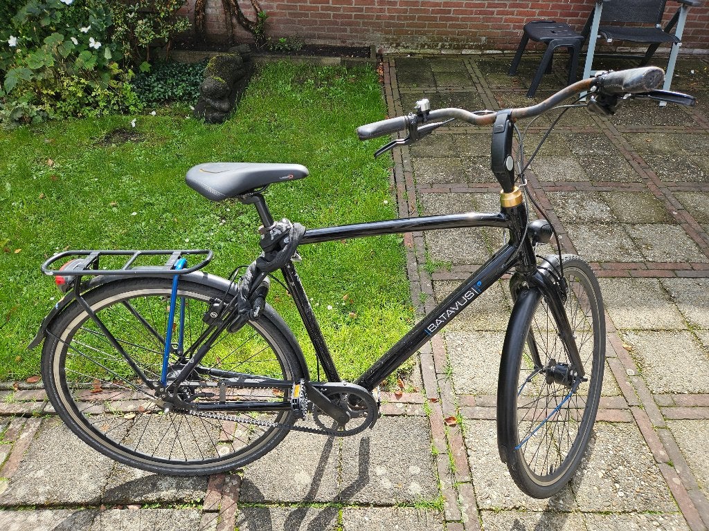 Herenfiets Batavus Dinsdag Exclusive, Ophalen, Gebruikt, Velgrem, Versnellingen