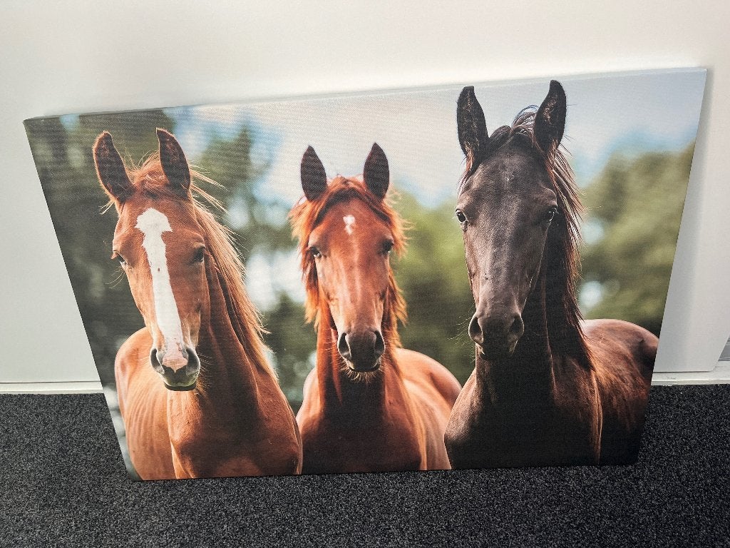 Canvas doek paarden, Ophalen, Dieren, Print, Overige materialen